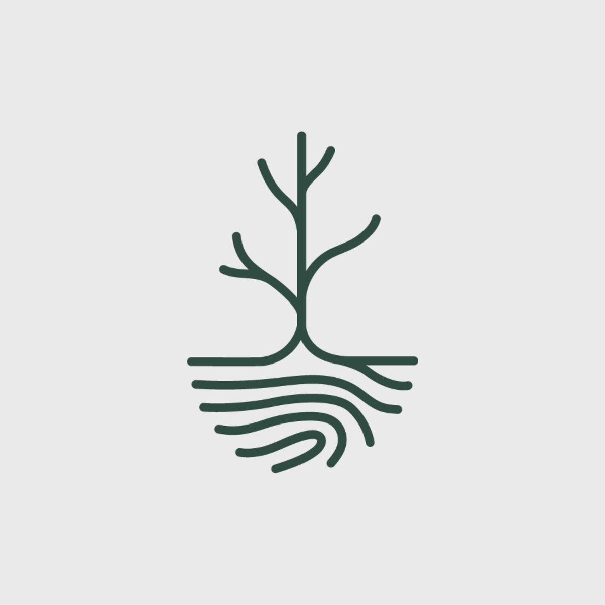 New Website Coming Soon!